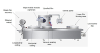 //inrorwxhnjjmlo5p-static.micyjz.com/cloud/lpBprKlnlkSRmkkpjoqliq/thermoforming-packaging-machine.jpg
